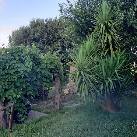 Il Rifugio Longobardia Minorae Alloggio per agriturismo Monteforte Cilento