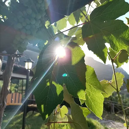 Alloggio per agriturismo Il Rifugio Longobardia Minorae Monteforte Cilento