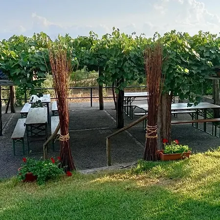 Alloggio per agriturismo Il Rifugio Longobardia Minorae *