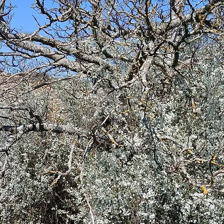 Feriegård Il Rifugio Longobardia Minorae